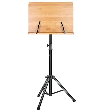 Pendirian Muzik Buluh